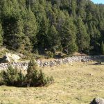 Mur de tanca del prat del Gilet