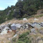 Carbonera de les Pedrusques