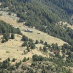 Murs de tanca de les Bordes dels Prats Nous