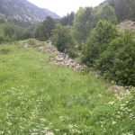 Murs de tanca del cortal de la Plana