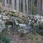 Cabanes del bosc de Solobre