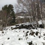 Murs de contenció Terra de Mixeu
