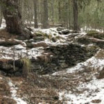 Barracot carbonera Camp de Roures 1