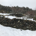 Feixes. Corral i murs de contenció de la Borda Duedra
