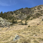 Jaceres del camí del Refugi de Besalí