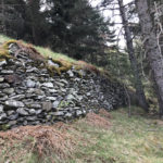 Murs de tanca i feixes de Terres de Cuixot