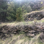 Feixes camí de les Planes de Sornàs