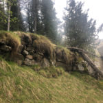 Feixa de coll de l'Obac (G0241)