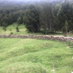 Murs de tanca de coll d'Arenes 2